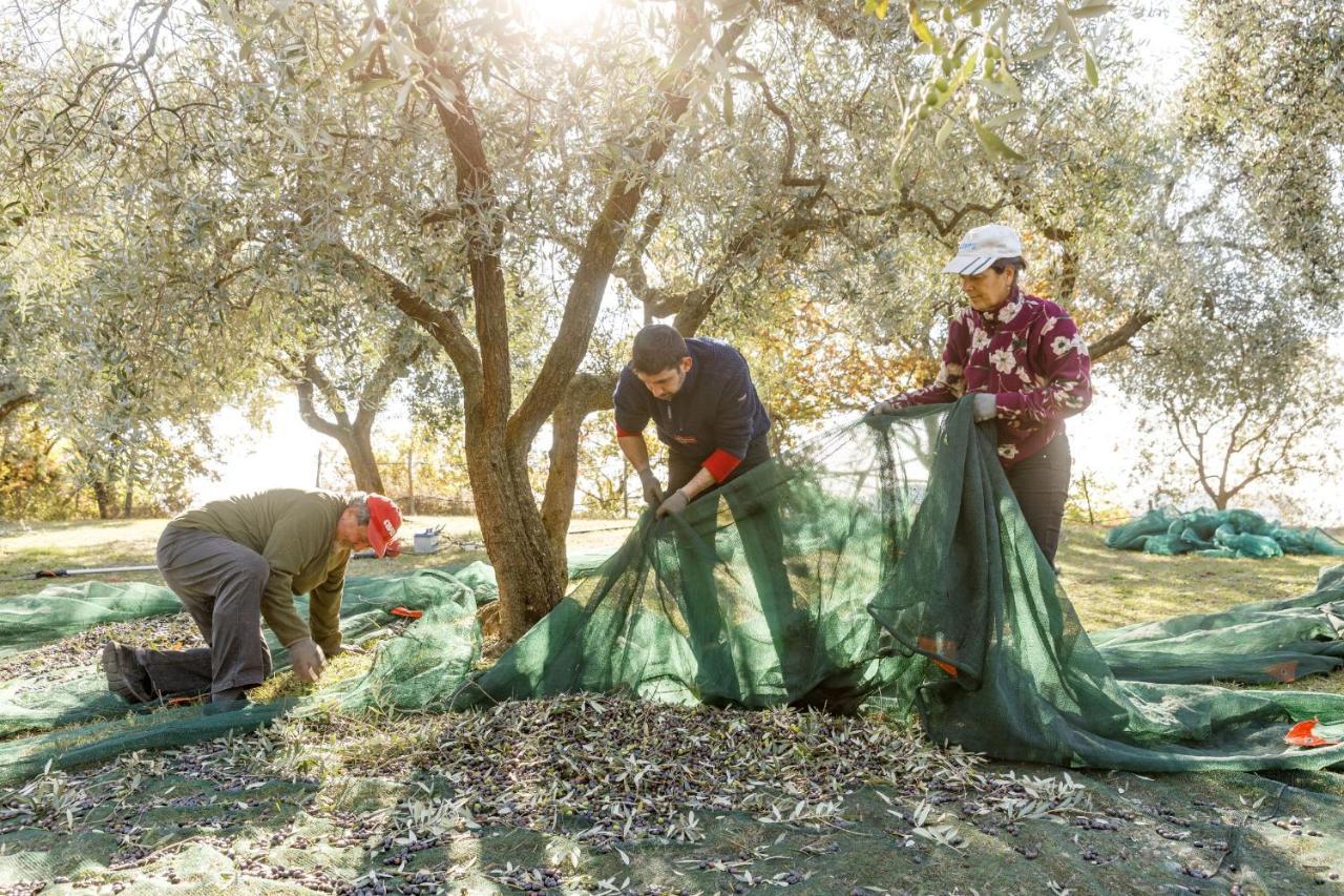 Agriturismo Agricamping Garda Natura Costermano Εξωτερικό φωτογραφία
