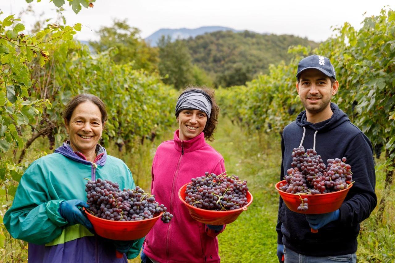Agriturismo Agricamping Garda Natura Costermano Εξωτερικό φωτογραφία