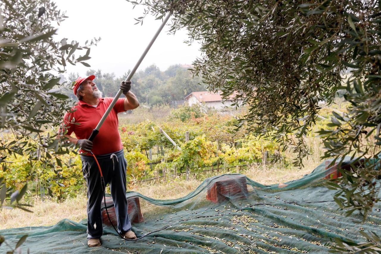 Agriturismo Agricamping Garda Natura Costermano Εξωτερικό φωτογραφία